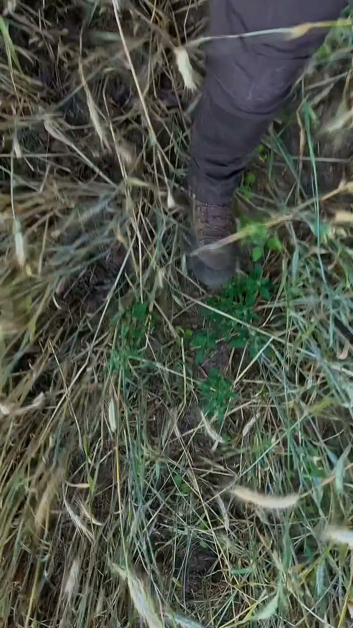 Escolha HÄRKILA — Prepare-se e mergulhe na natureza.
