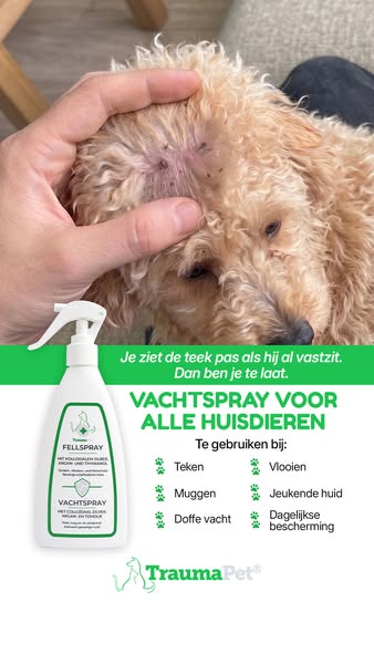 Alleen het beste voor je viervoeter