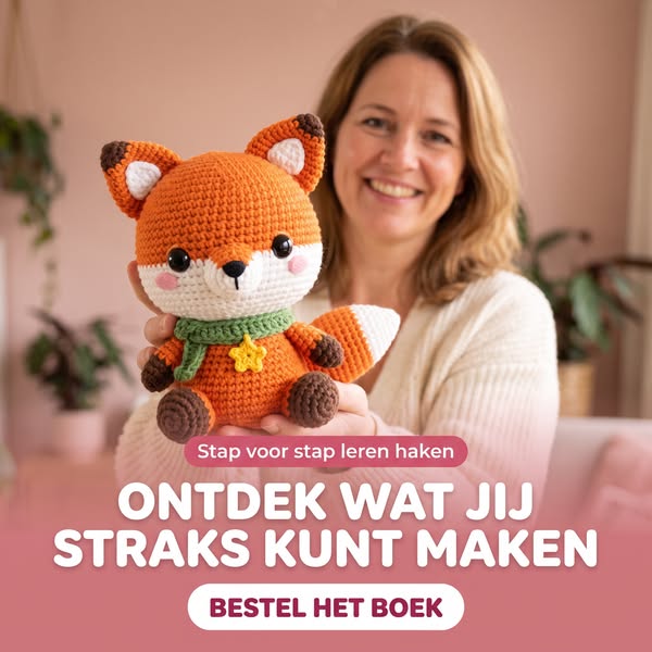 Het fysieke Handig Haken boek