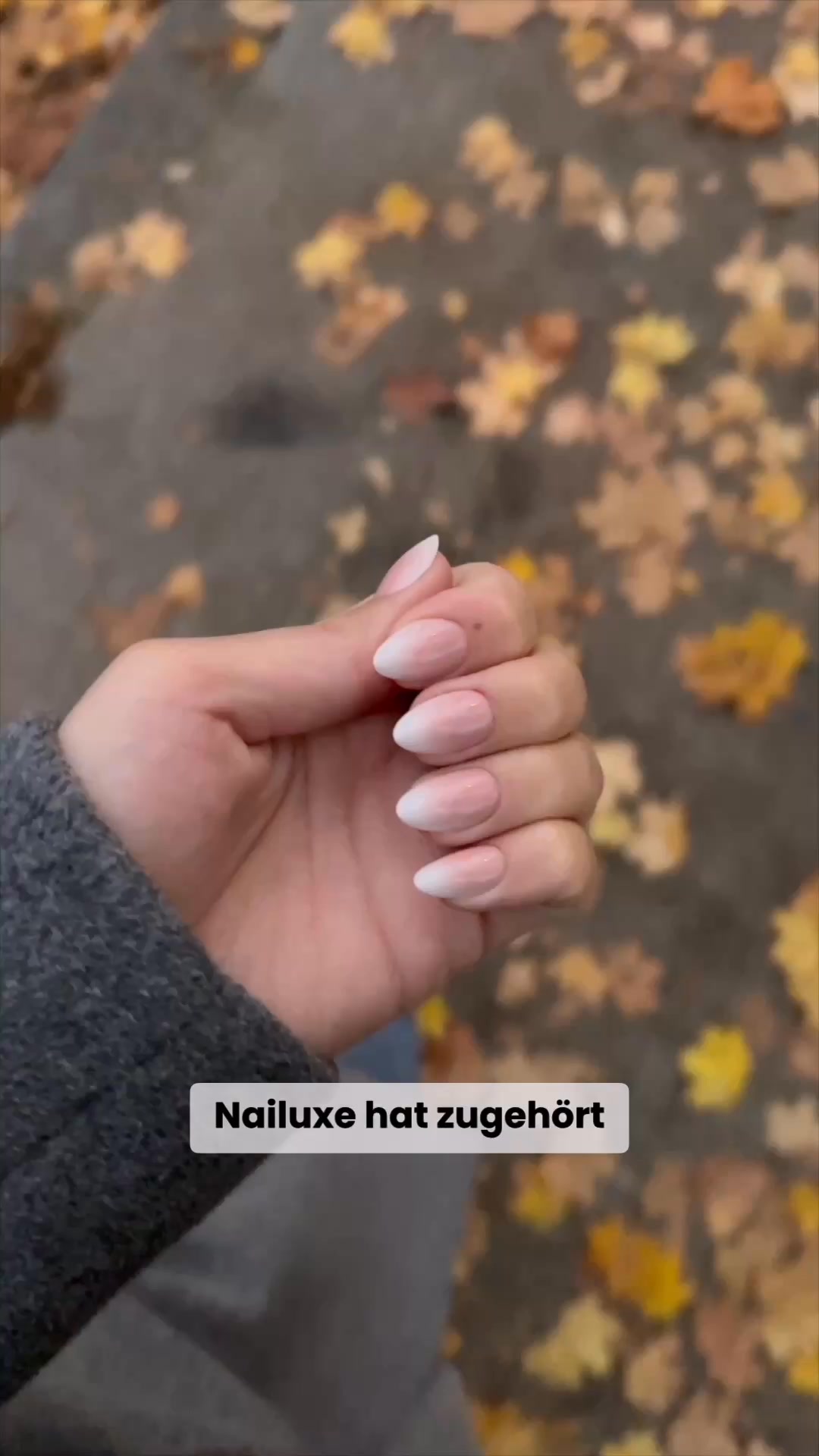 Press On News und Neuheiten | NAILUXE