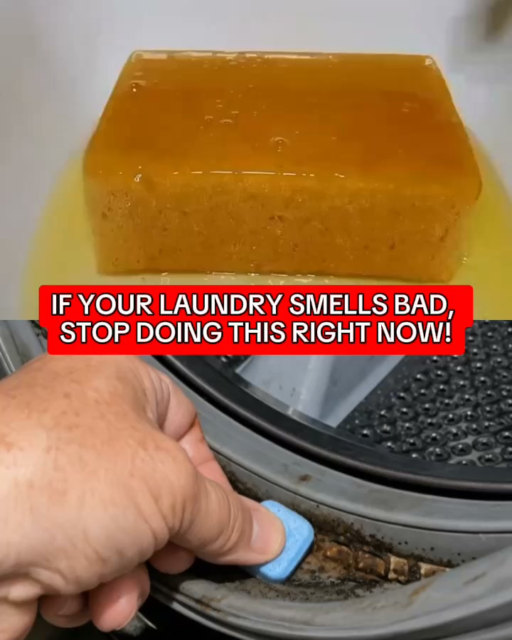 If your washing smells like a wet dog straight out of the machine... this germ is why