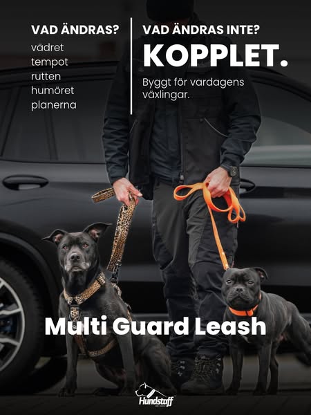 Valt av över 100 000 hundägare
