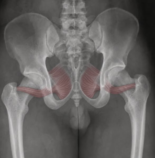 Get back bladder control