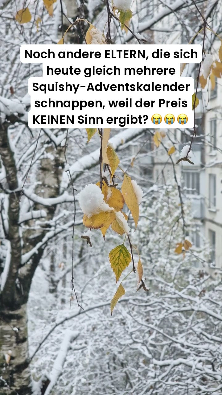 Der Weihnachts-Countdown, den sie lieben werden