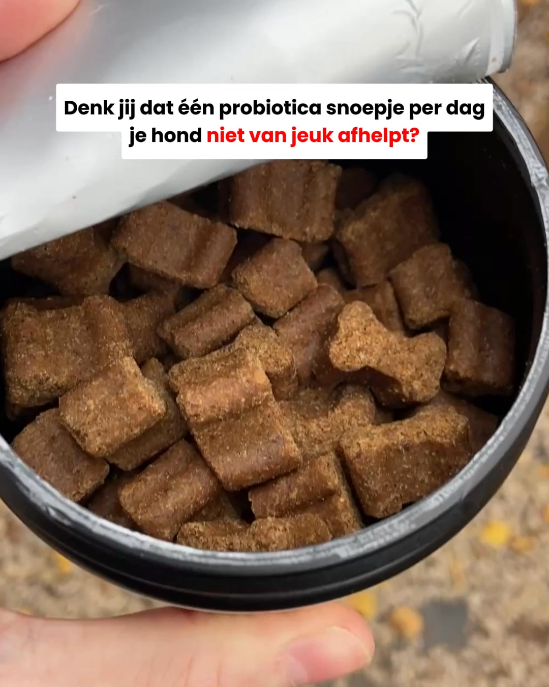 NU: Tijdelijke korting + Gratis verzending