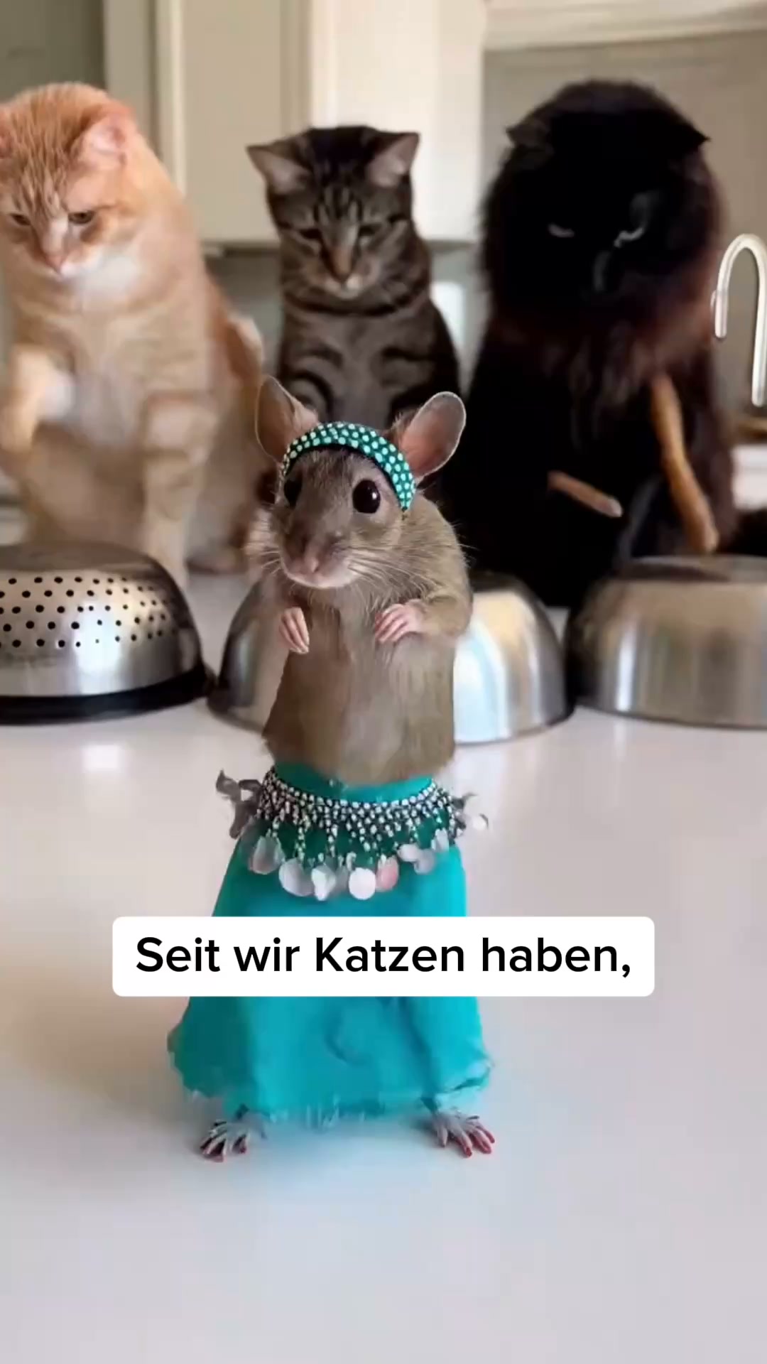 Über 16.000 glückliche Kunden
