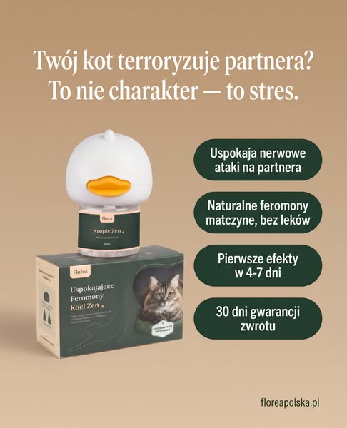 Sprawdź bez ryzyka — 30 dni gwarancji