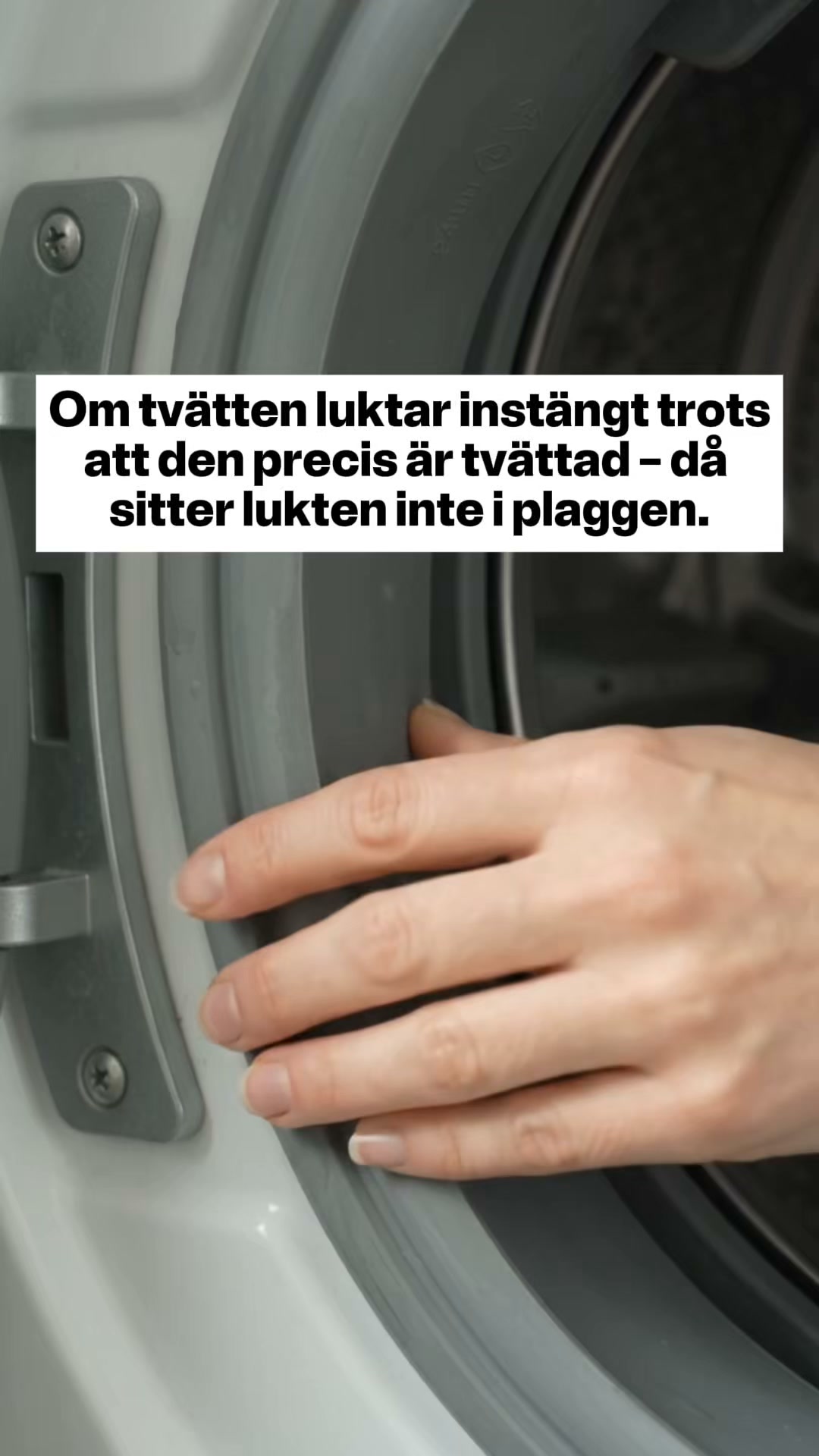 Enzymkapslar för tvättmaskinen