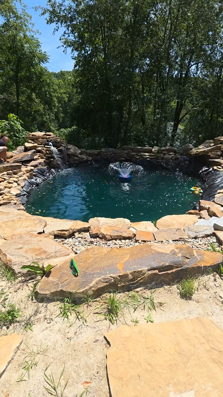 Create A Beautiful Backyard Pond