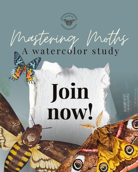 BRAND-NEW COURSE: Mastering Moths in Watercolor is NOW OPEN!