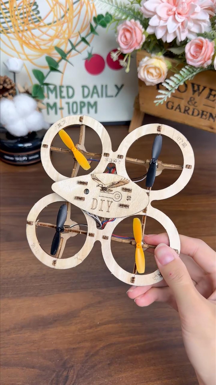 2026 New DIY Wooden RC Drone Kit