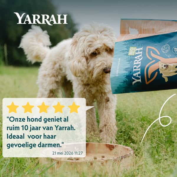 Ontdek waarom.