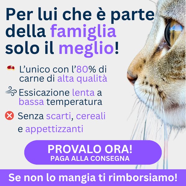 Paga anche alla consegna