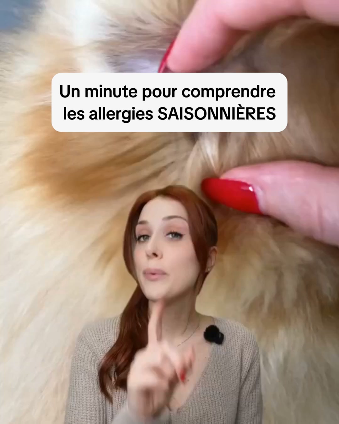 Aide ton chien dès aujourd'hui
