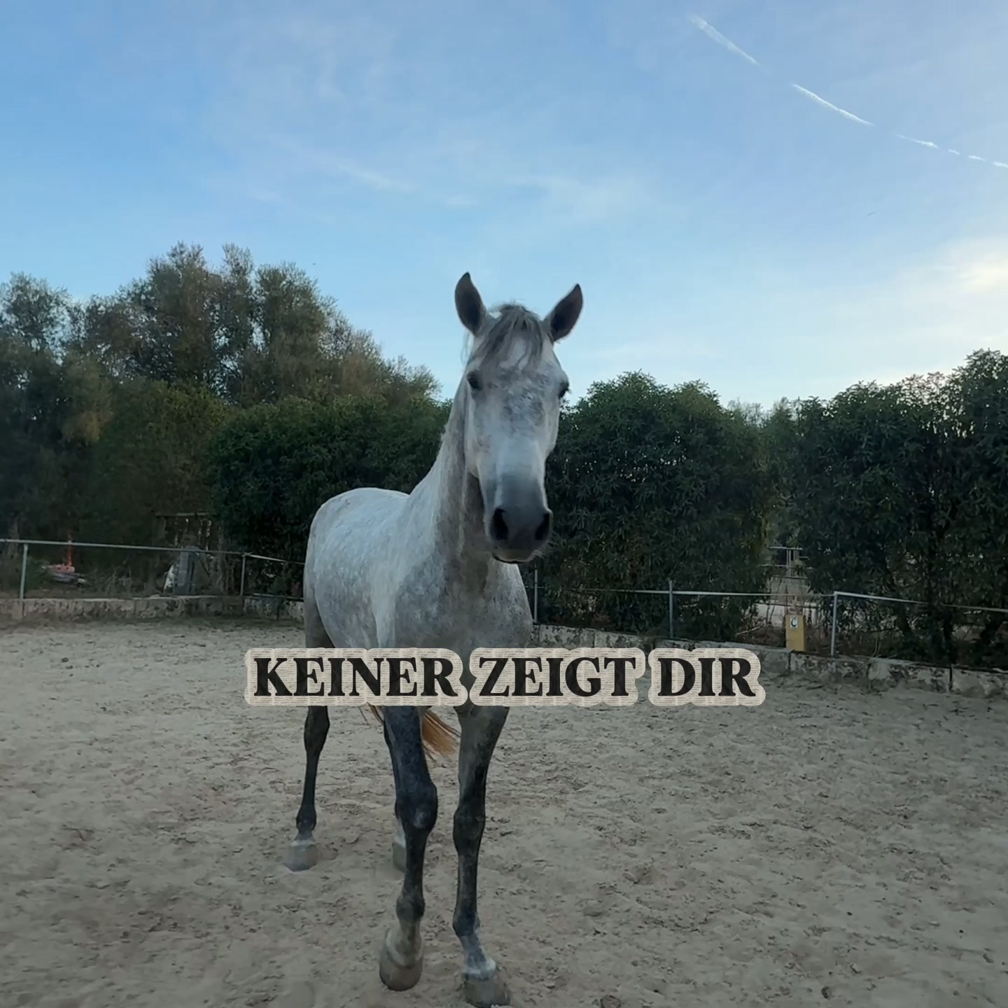 Abwehr erkennen. Angemessen reagieren.