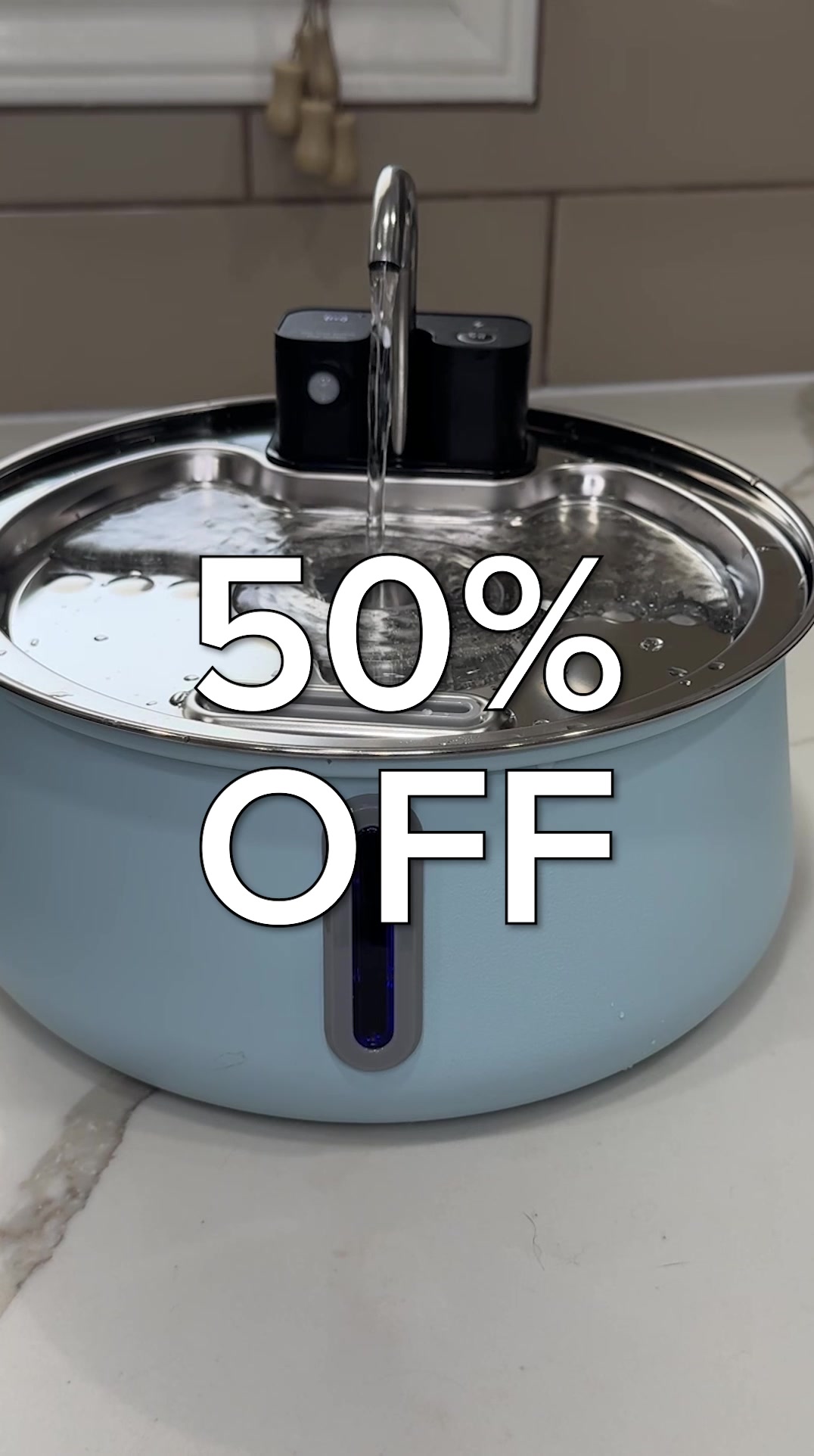 The #1 Vet-recommended Dog Fountain