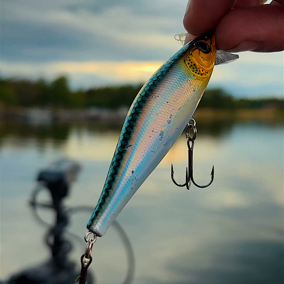 Viper Jerkbait