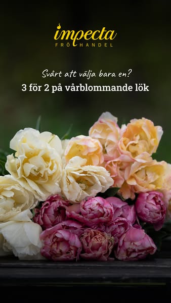 Välj tre sorter – betala för två