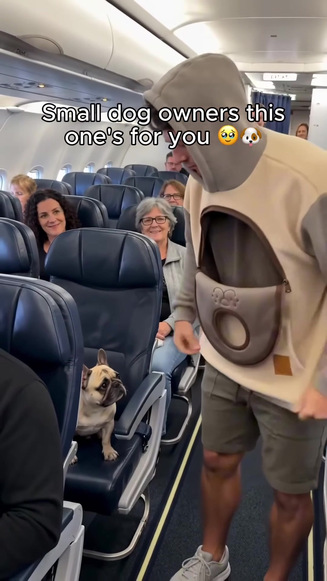 The Hoodie With a Pocket for Your Dog