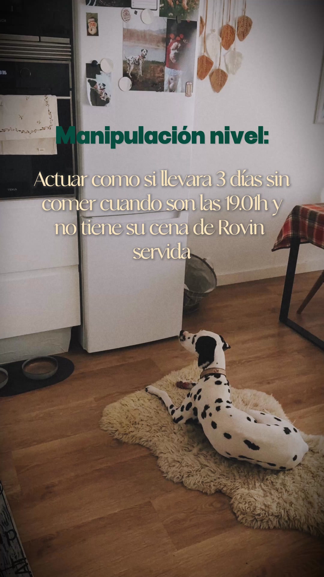 Pruébalo sin riesgo