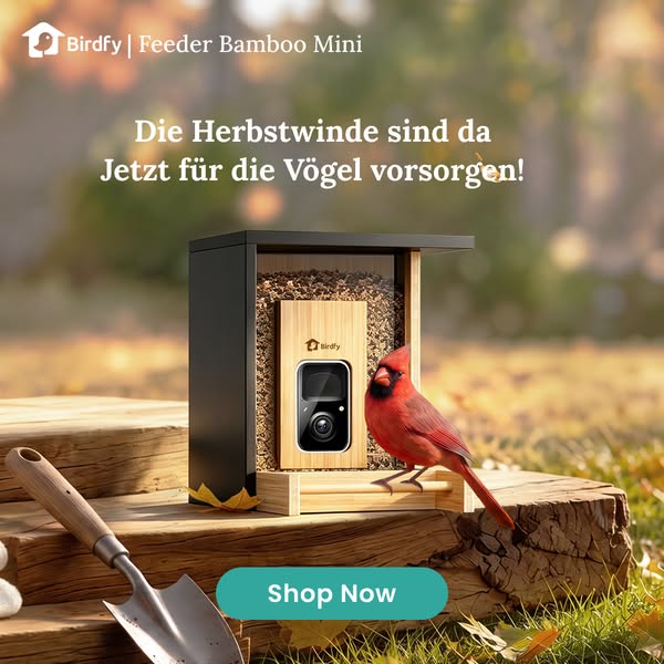 Eine Box. Eine Familie. Eine Nachbarschaft.