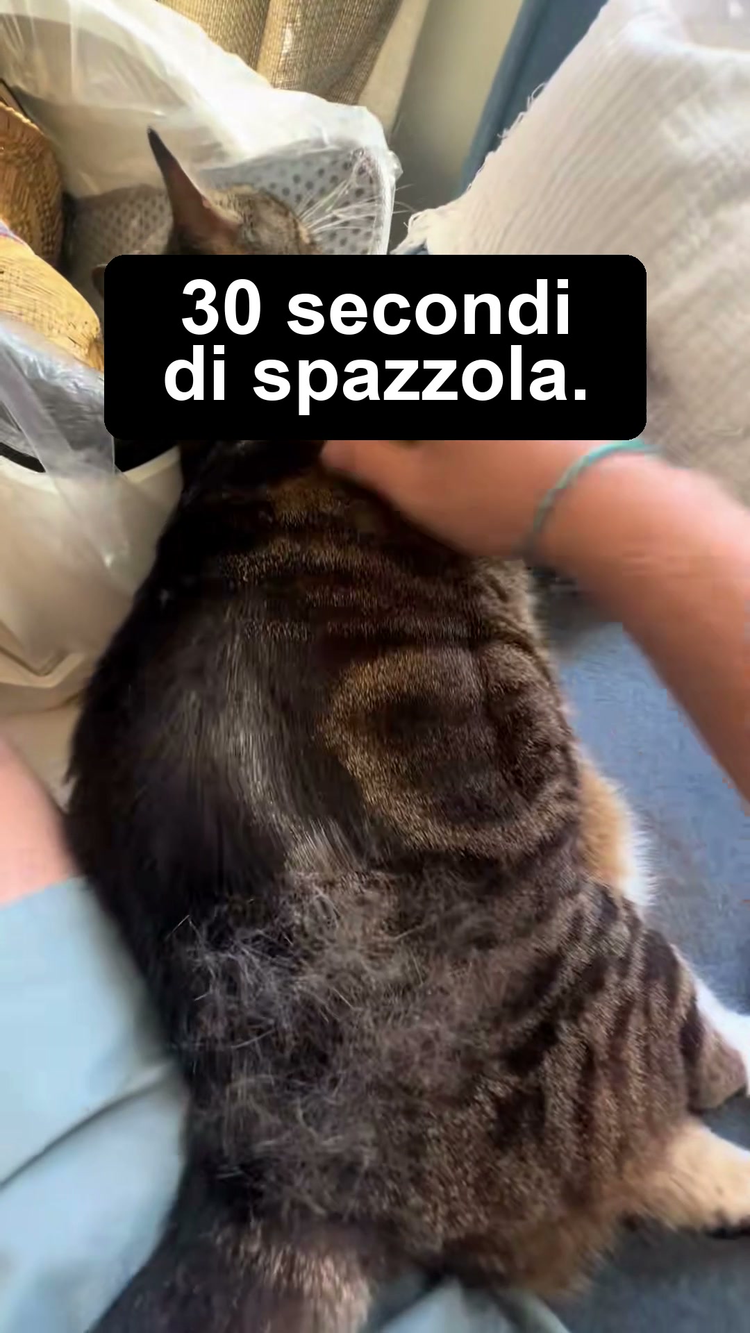 Addio ai Peli Ovunque!
