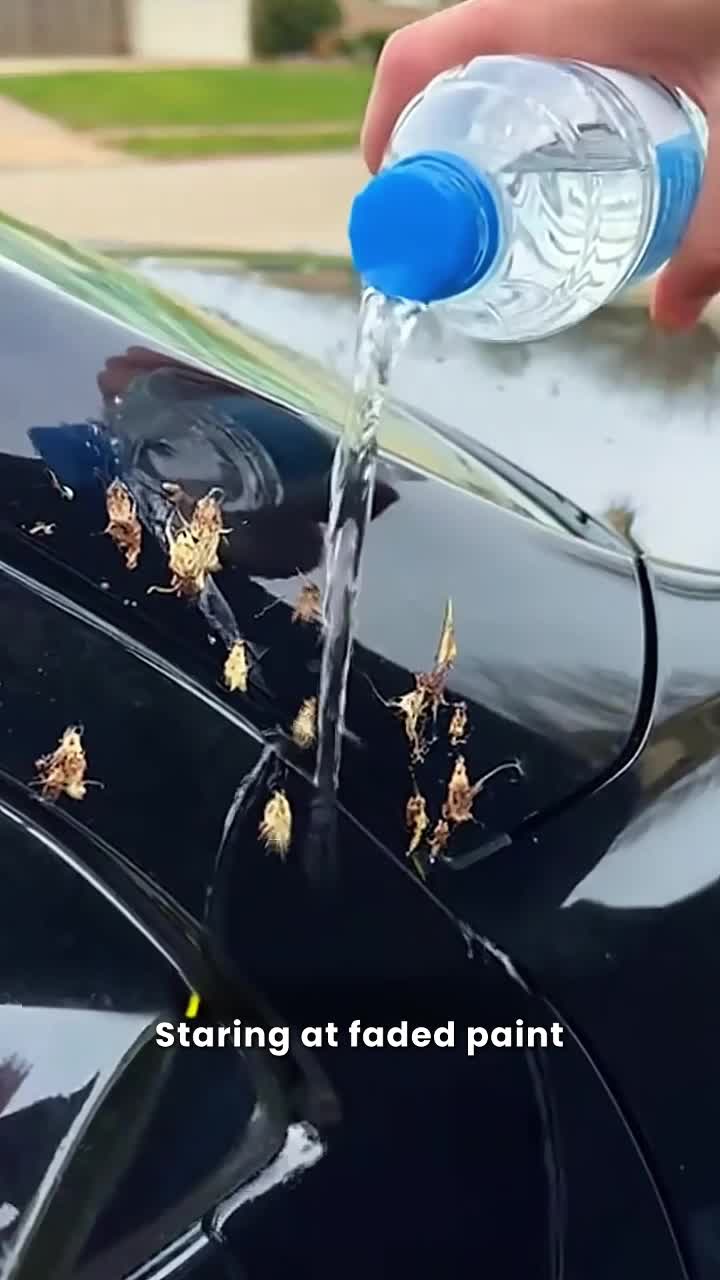 The Water Test Says It All