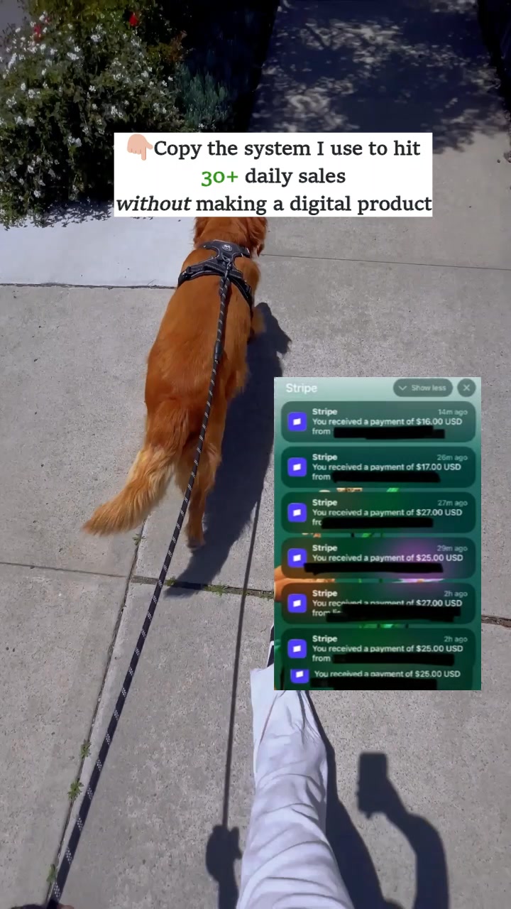 The ultimate $3 Side Hustle Business Starter - Learn to create and sell digital products using AI tools and content.