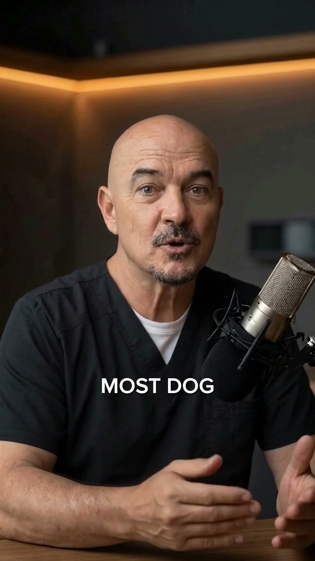 The #1 Vet Recommended Dog Fountain