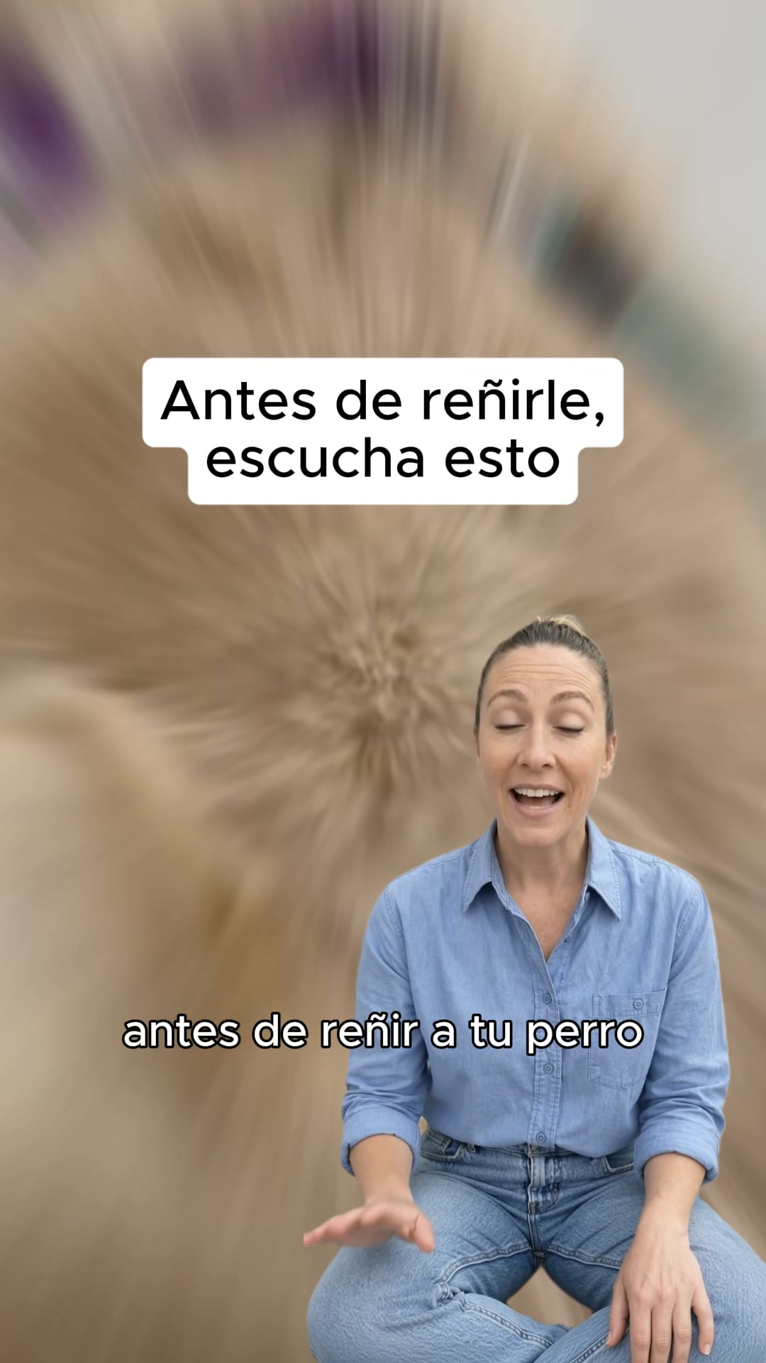 Gánale la batalla al pelo de tu mascota.