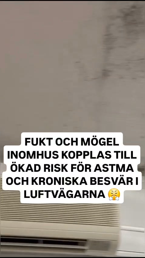 GÖR NÅGOT ÅT LUFTEN I DITT HEM IDAG