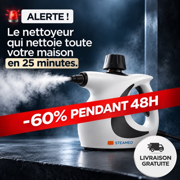 60 % PENDANT 48H + LIVRAISON GRATUITE