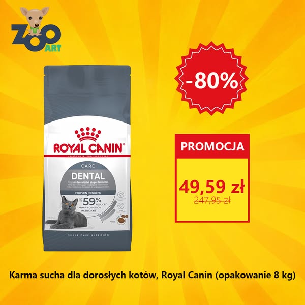 Zadbaj o szczęśliwe chwile swojego zwierzaka!