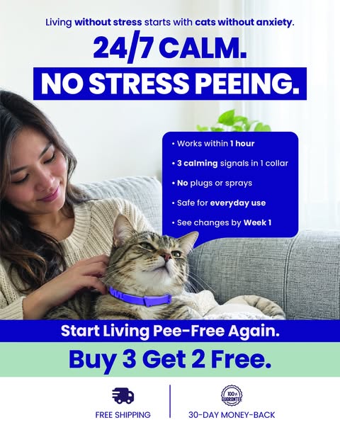 Calming Support That Goes With Your Cat