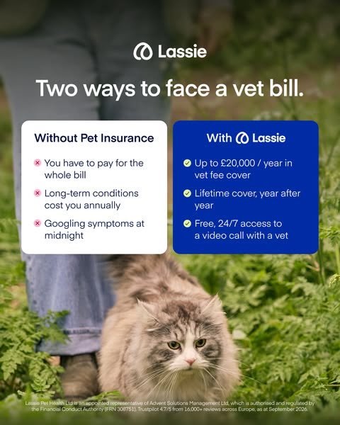 Insure now