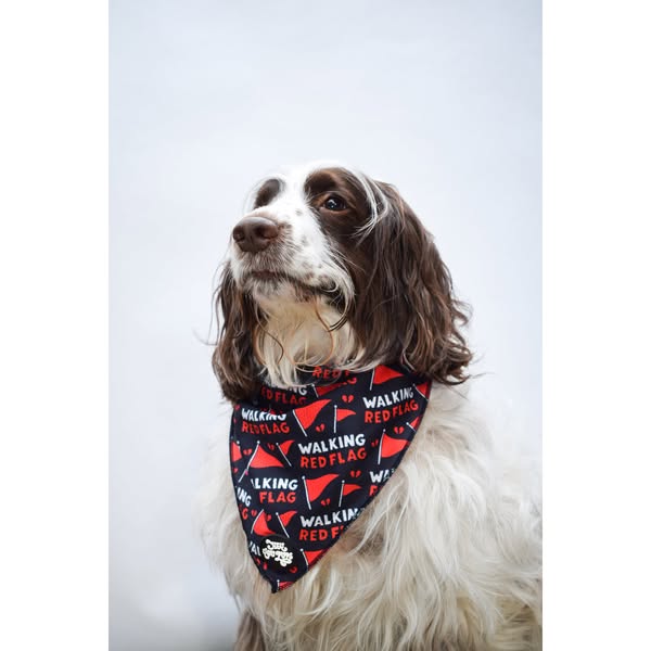Walking red flag bandanaIs your dog completely undateable? Is he/she a walking red flag?! Our cool bandanas will make your dog look the par