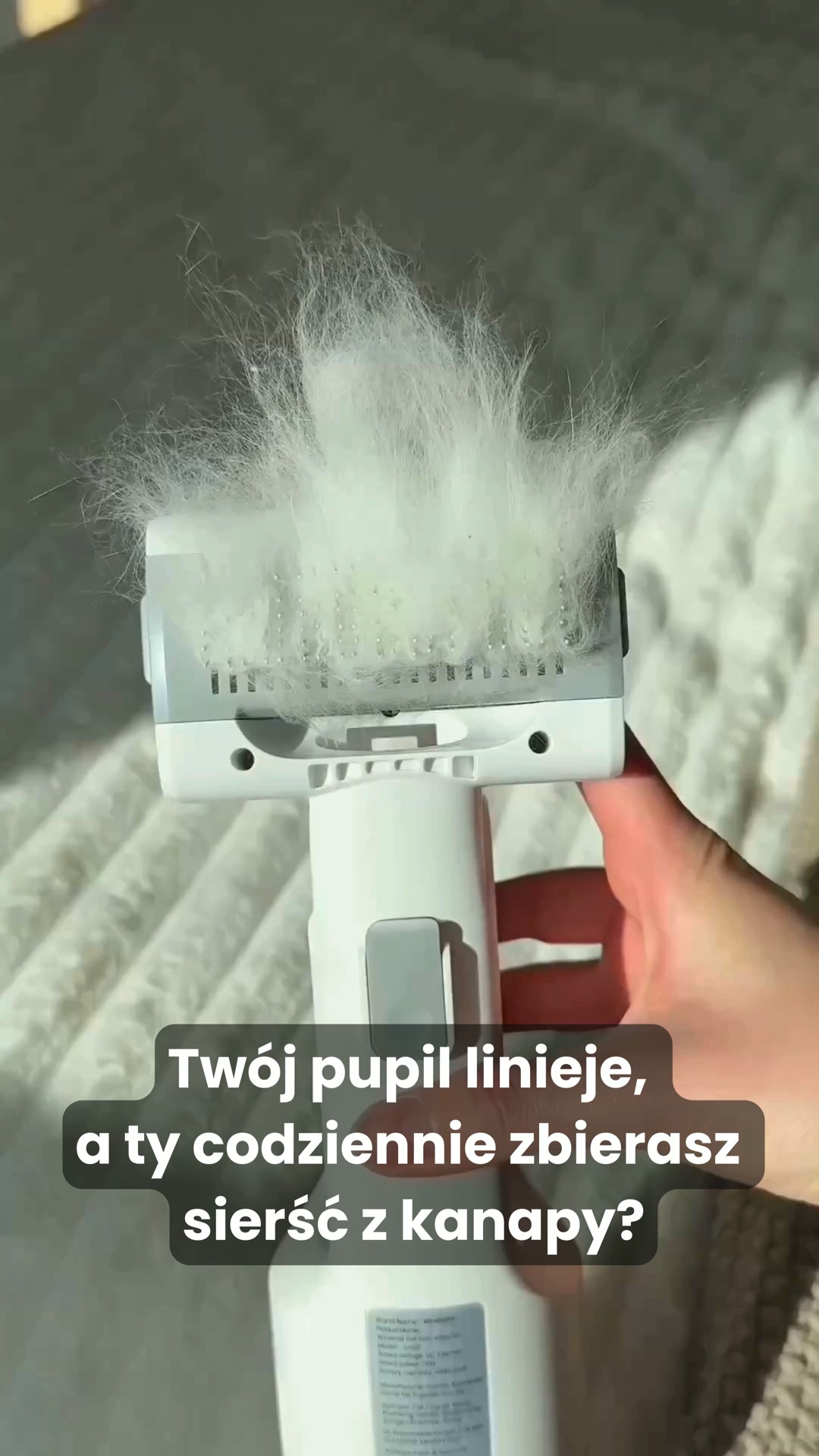 Zobacz, jak inni poradzili sobie z sierścią w swoim domu