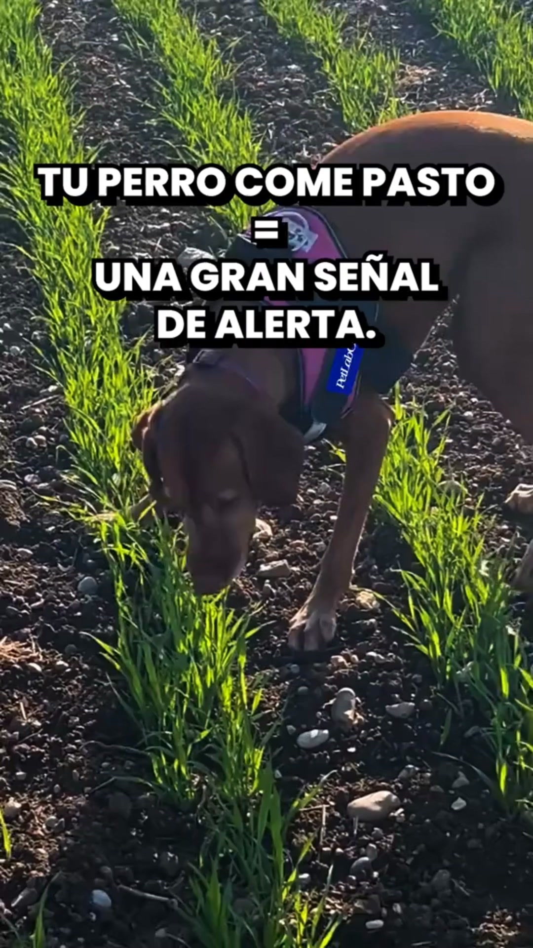 +100.000 clientes