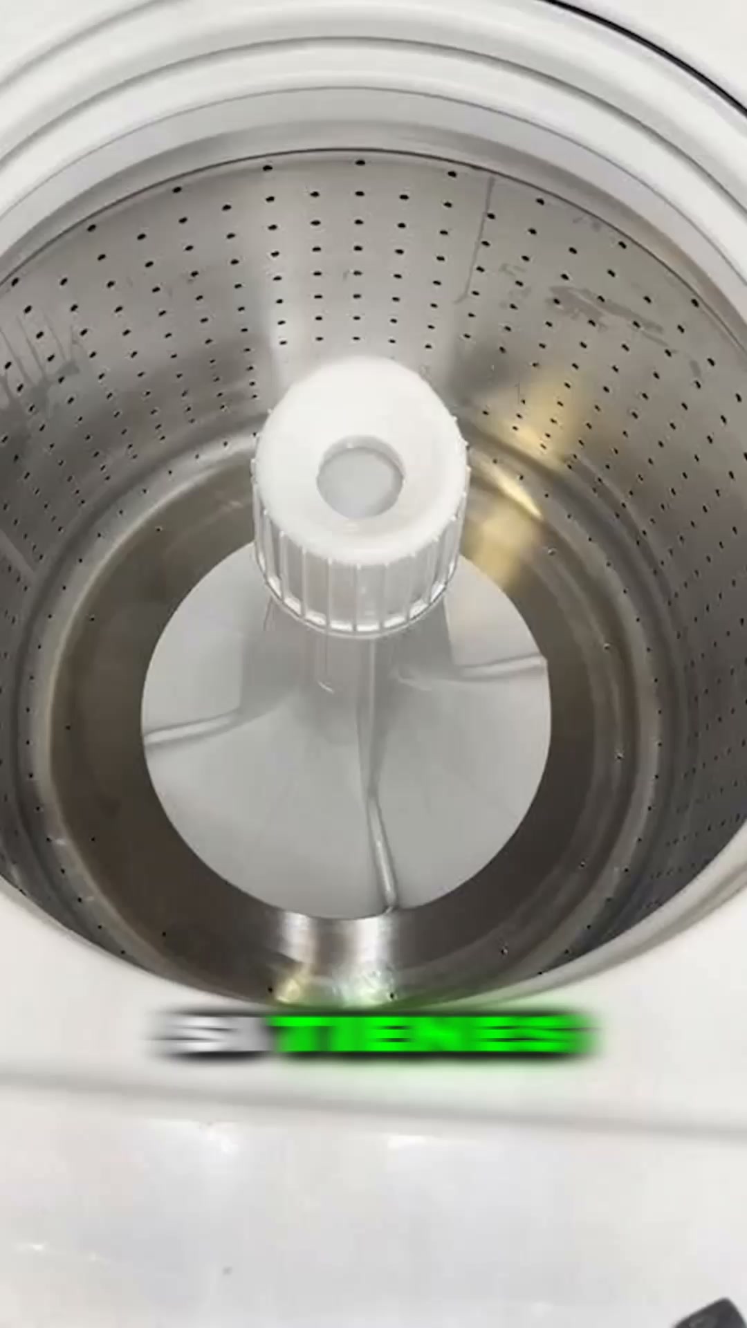 Elimina las bacterias y el olor a mascota de tu lavadora