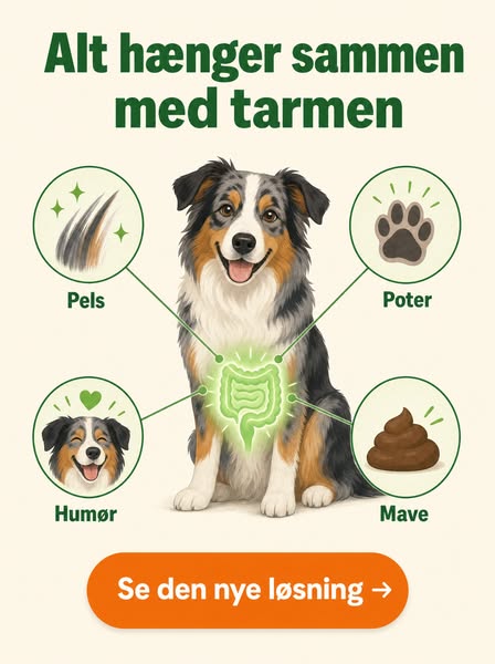 Tarm i balance - indefra