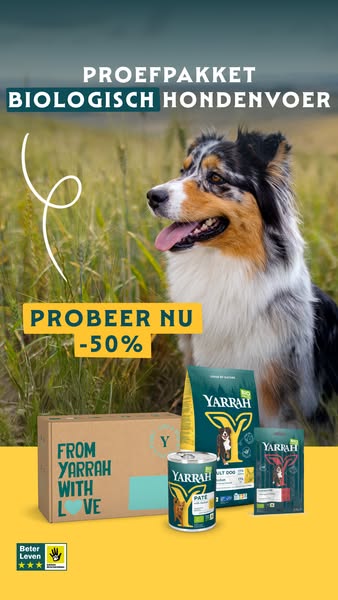 Nu 50% korting