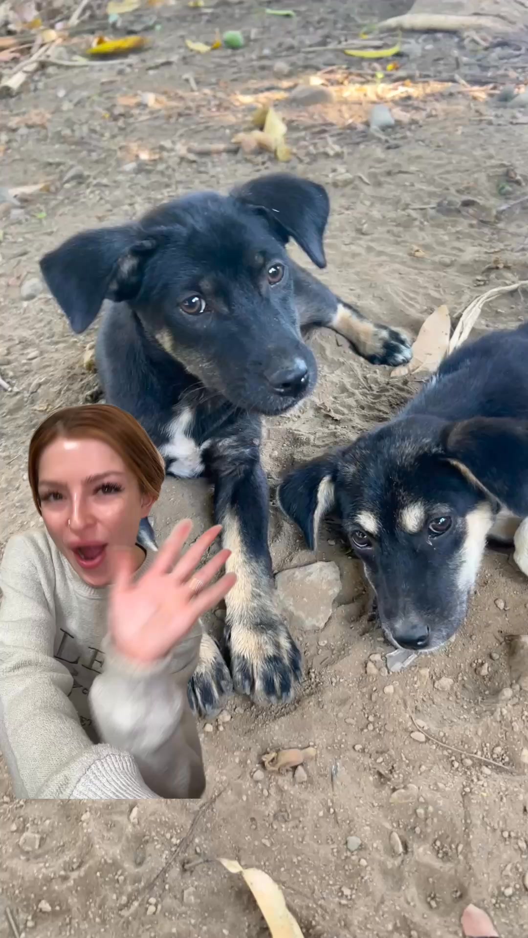 Rescue Paws Bracelet