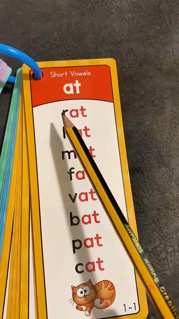 Phonics Word Cards 117 Sound Groups 900+ Rhyming Words Preschool English Discovery Joy