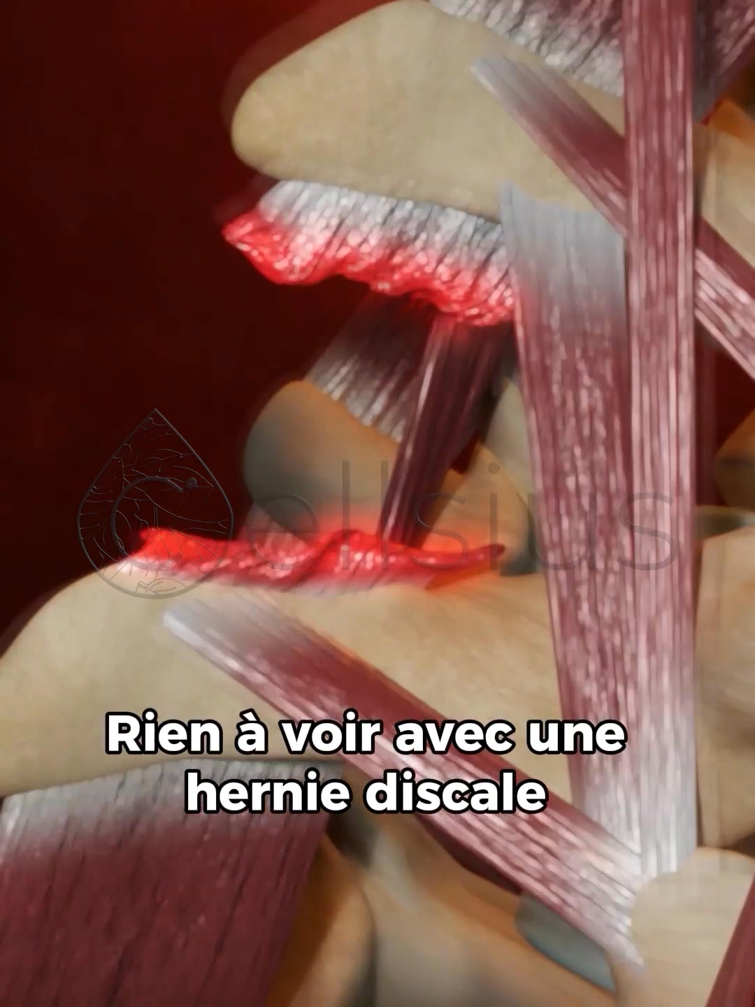 En Promo Aujourd’hui