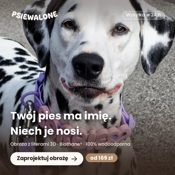 Obroża z imieniem Twojego psa