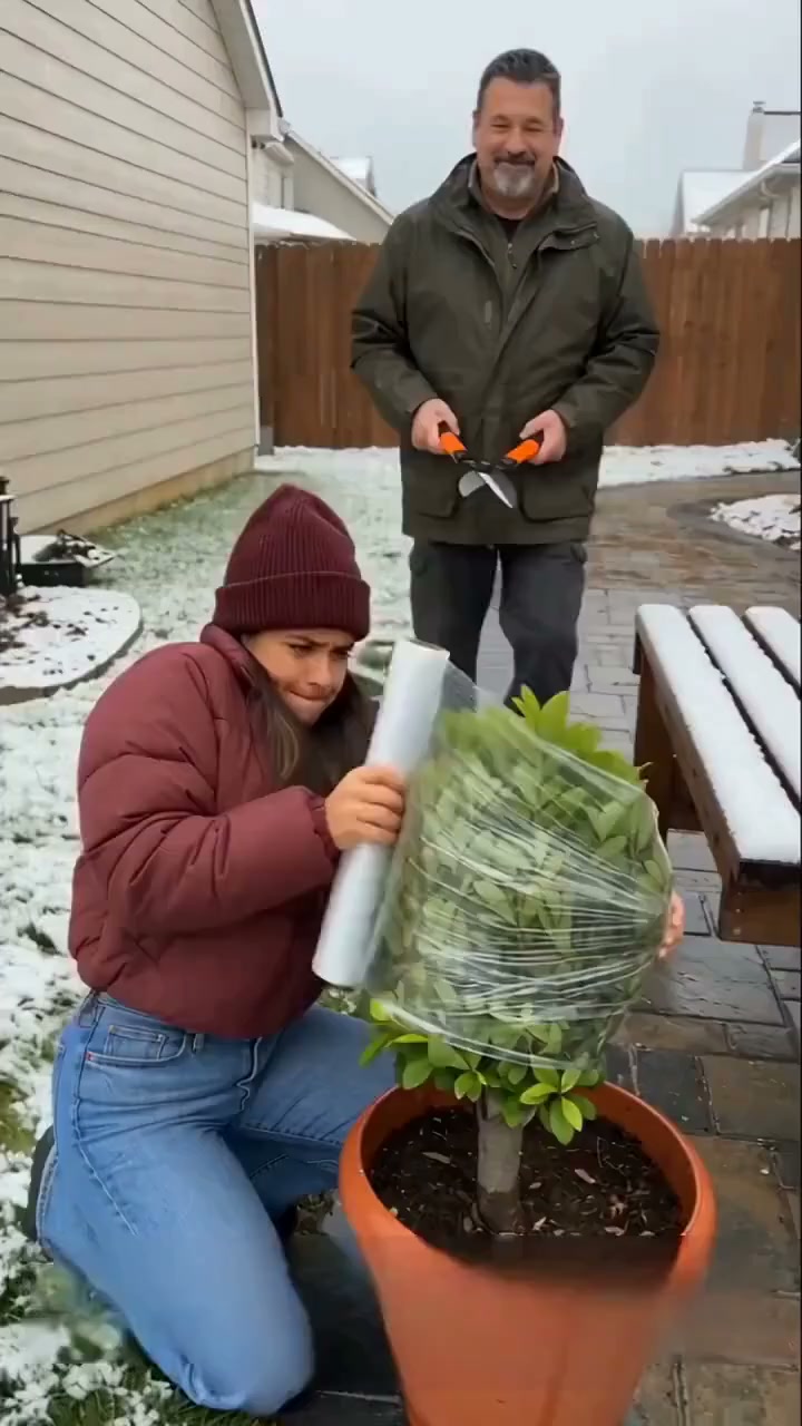 Skydda dina växter i vinter!