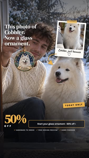 Only now: 50% OFF