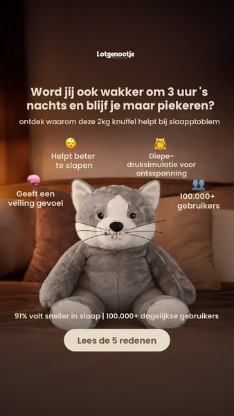 Verzwaringsknuffel 2kg