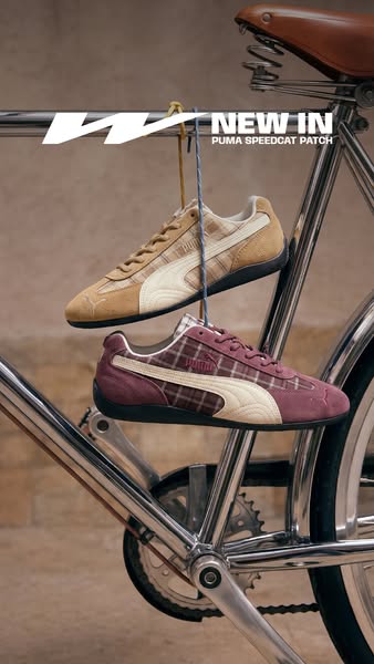 Your Favourites at Newcop