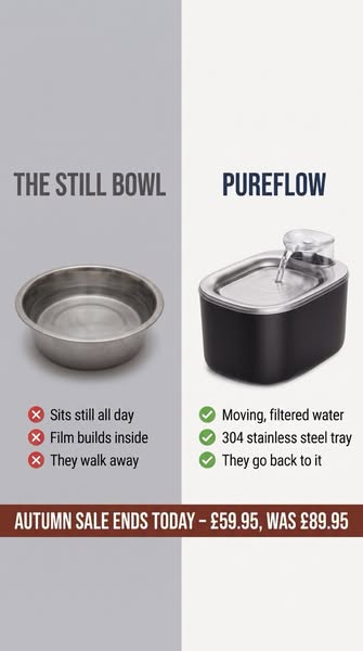 Try it risk-free for 60 days